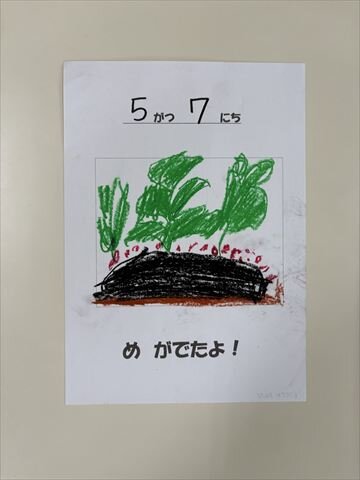 BAND_たから_2026-05-15-17-37-17_06-R8.jpg