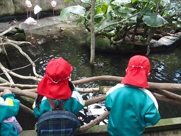 P5170203_R6.JPG