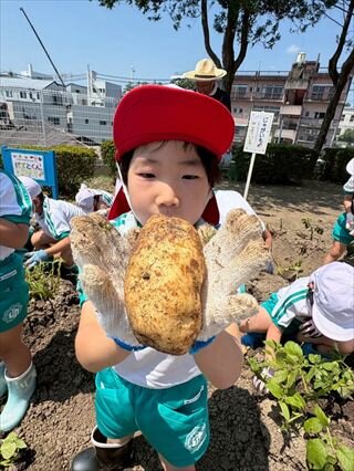 BAND_たから_2026-08-06-13-00-58_09-R8.jpg