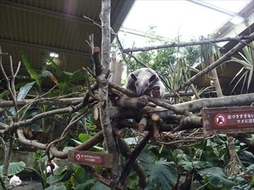 P5170206_R6.JPG